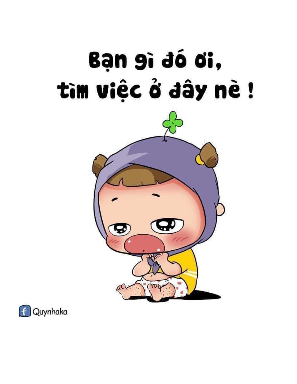 lĩnh vực hoạt động